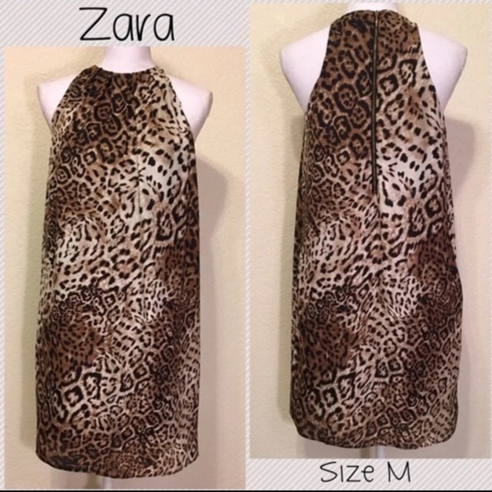 Zara Cheetah Dress